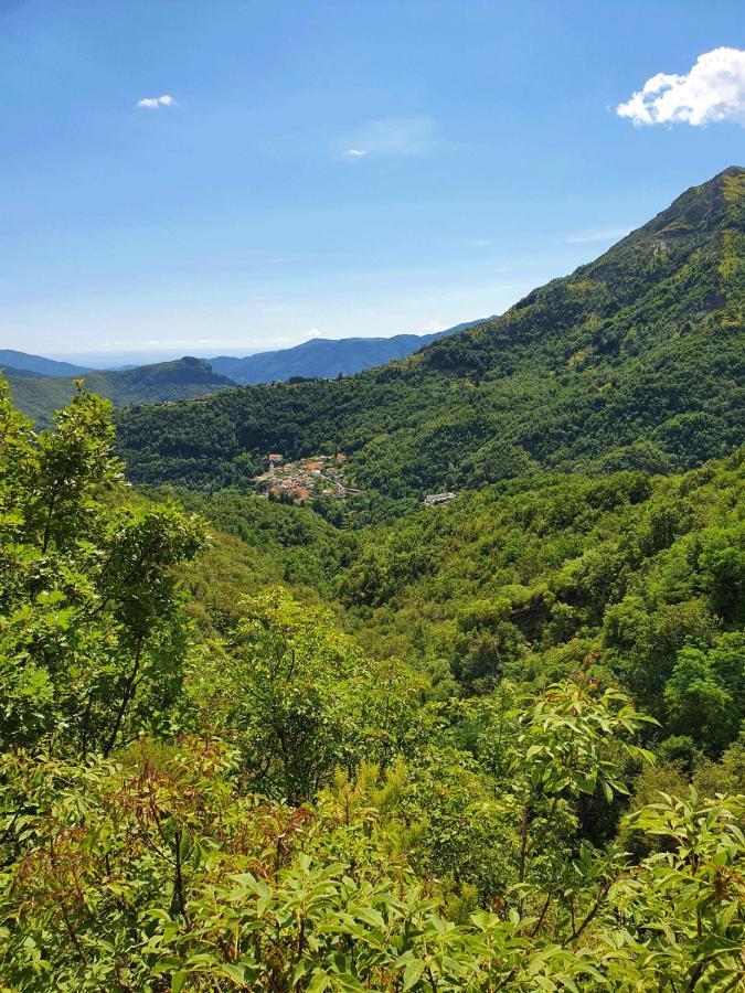 Il Bosco Di Campo Marzano Garden Apartment Borzonasca