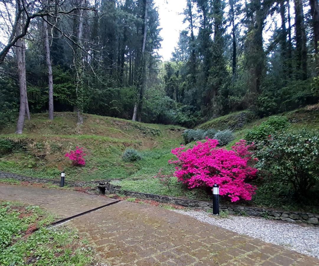 Il Bosco Di Campo Marzano Garden *