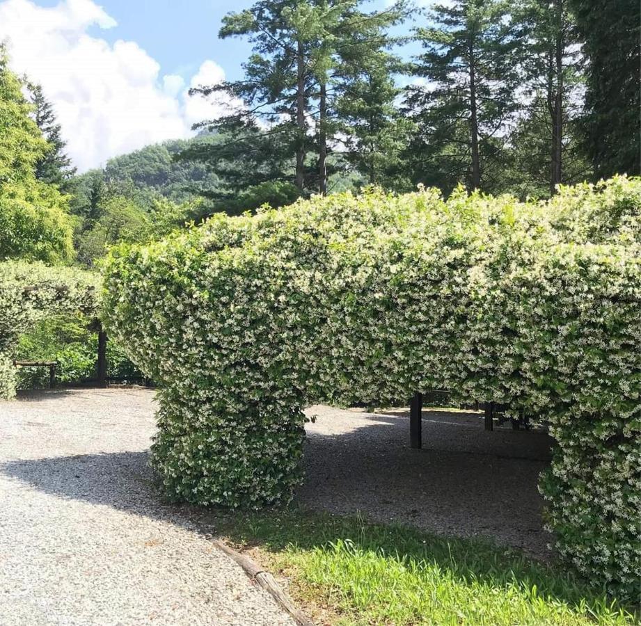 Il Bosco Di Campo Marzano Garden Apartment