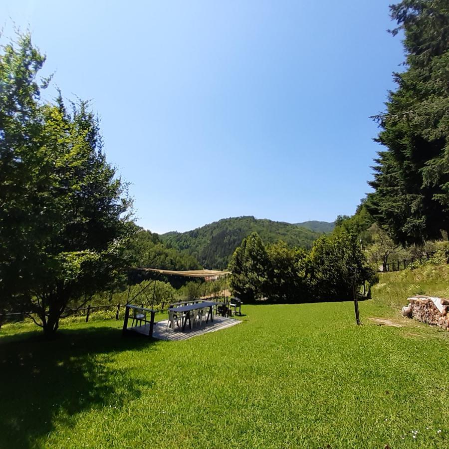 Il Bosco Di Campo Marzano Garden