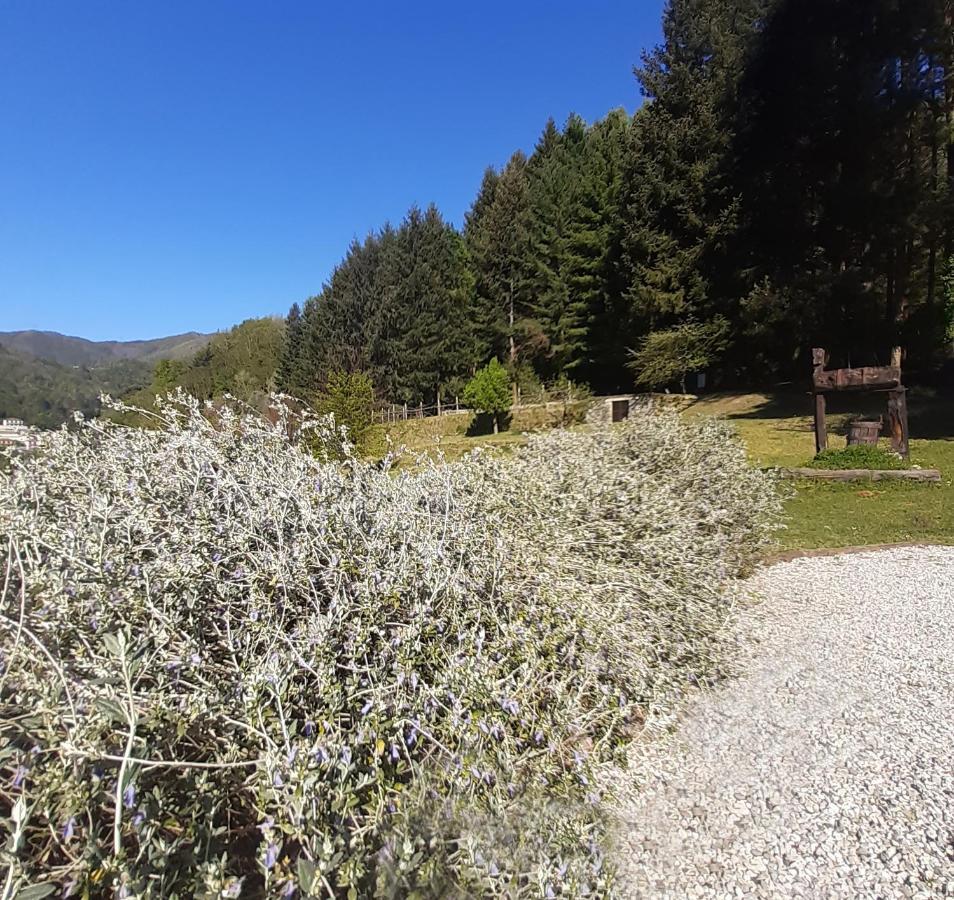 Il Bosco Di Campo Marzano Garden Borzonasca