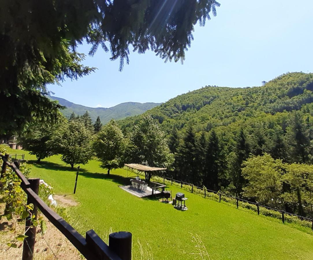 Il Bosco Di Campo Marzano Garden Apartment *