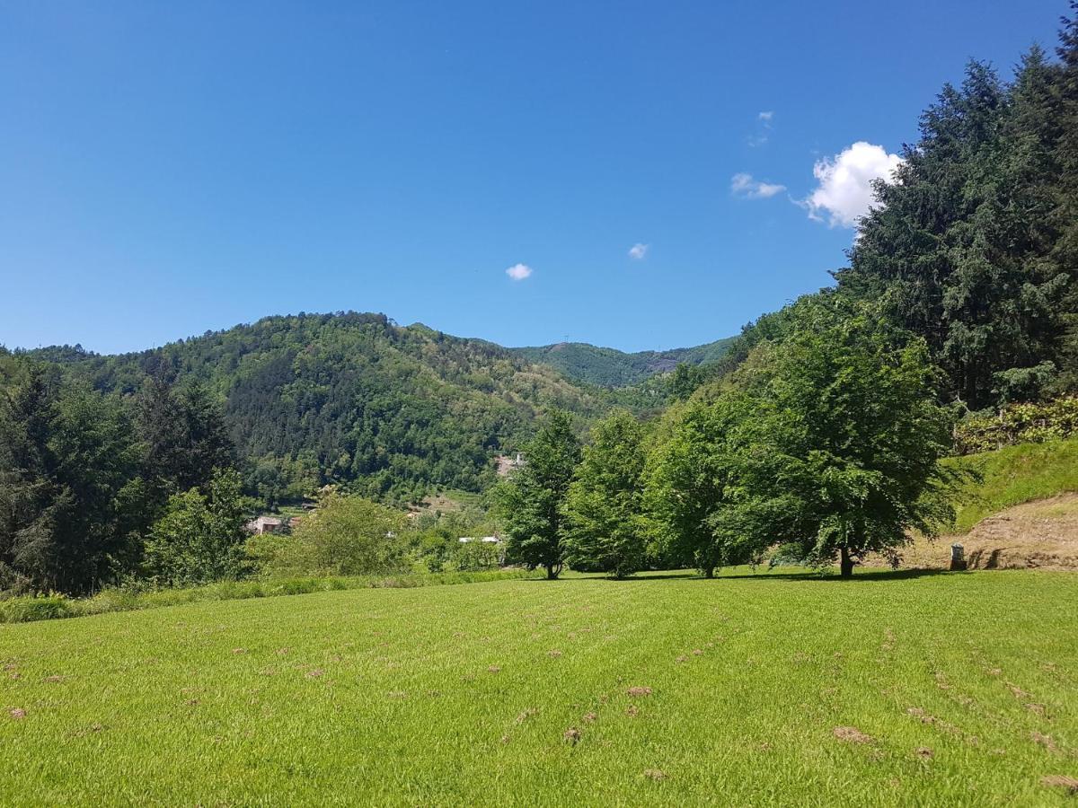 Il Bosco Di Campo Marzano Garden * Borzonasca