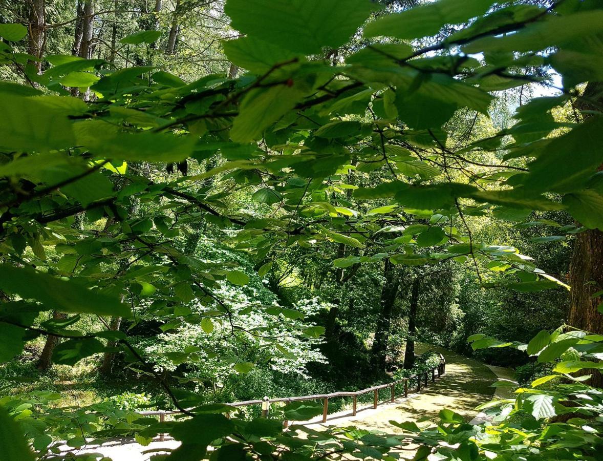 Il Bosco Di Campo Marzano Garden Apartment Borzonasca