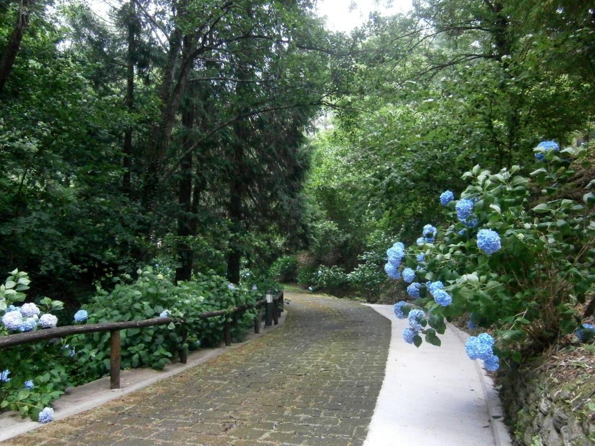 Il Bosco Di Campo Marzano Garden Borzonasca
